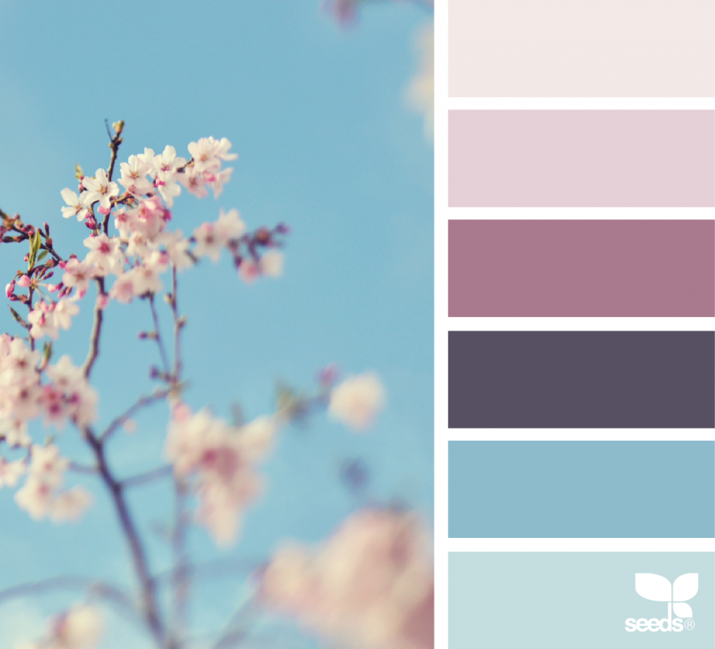 ColorDream2 By Design Seeds