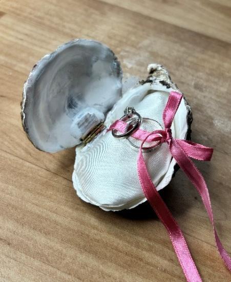 Step 4 Shell Ribbon